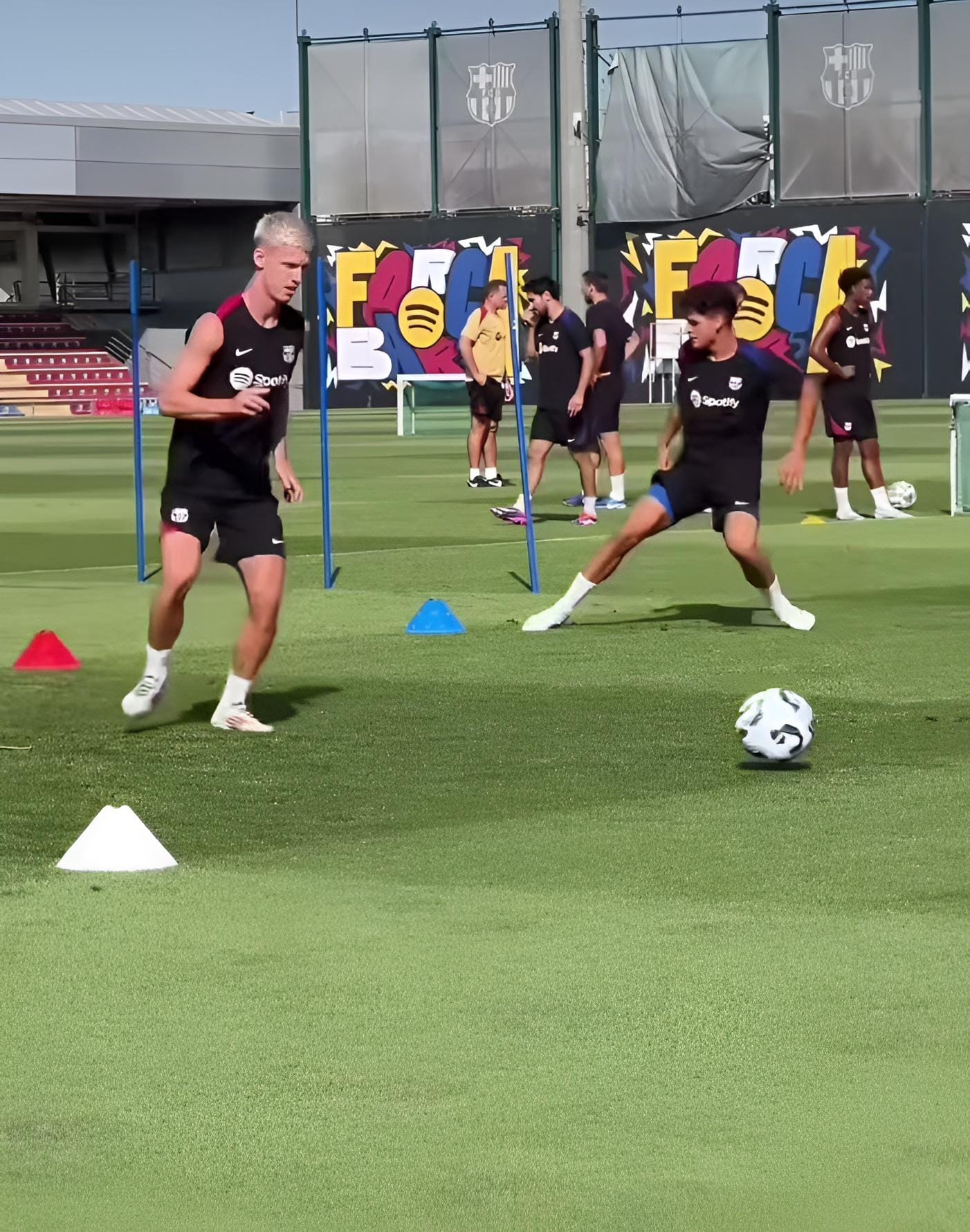 Barcelona trở lại tập luyện với sự xuất hiện của Dani Olmo, Vitor Roque vắng mặt vì ốm