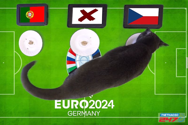Chú mèo tiên tri Cass bất ngờ dự đoán Bồ Đào Nha thất thủ trước Séc ở EURO 2024
