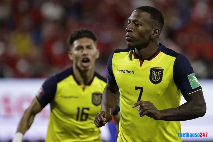 Soi kèo phạt góc Qatar vs Ecuador Soi kèo phạt góc Qatar vs Ecuador