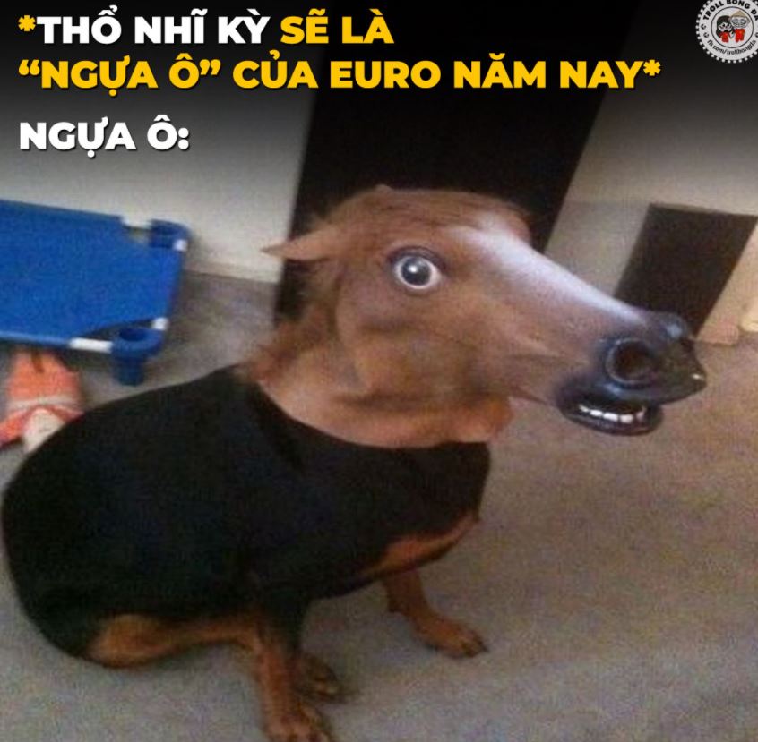Ảnh chế Thụy Sĩ vs Thổ Nhĩ Kỳ Ảnh chế Thụy Sĩ vs Thổ Nhĩ Kỳ