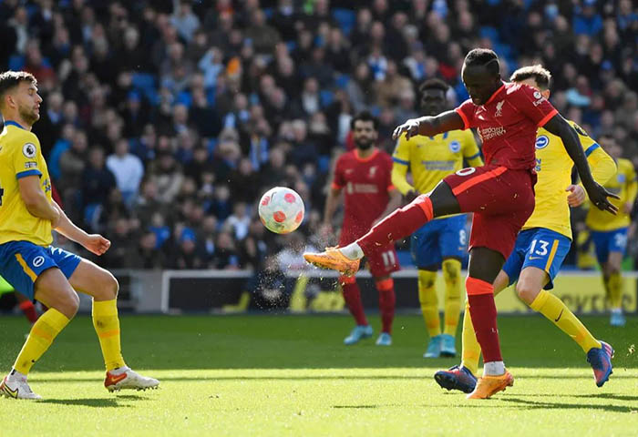 Brighton vs Liverpool