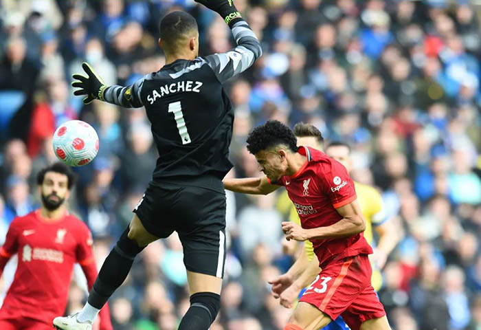 Brighton vs Liverpool