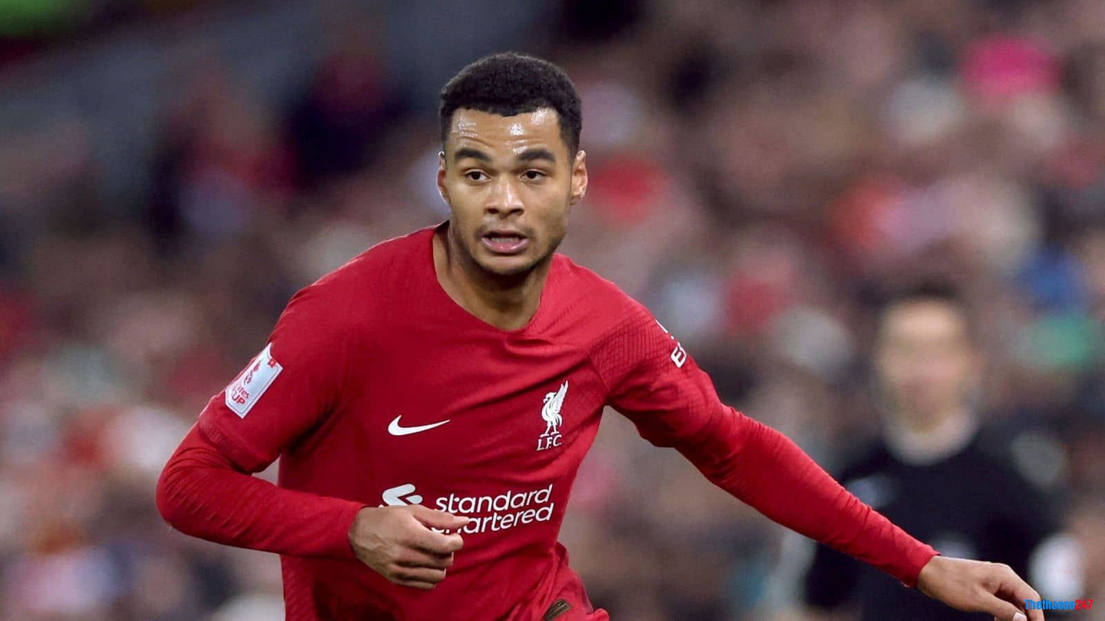 Cập bến SVĐ Anfield có phải là sai lầm của Gakpo Cập bến SVĐ Anfield có phải là sai lầm của Gakpo