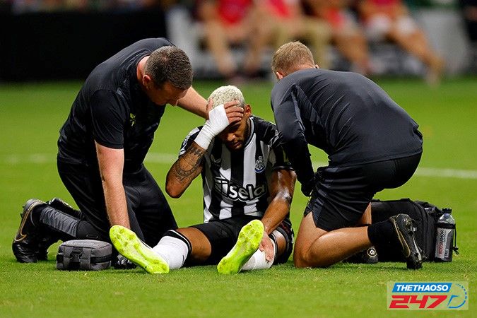 Joelinton bị chấn thương hành hạ trong phần lớn mùa giải 2023-2024