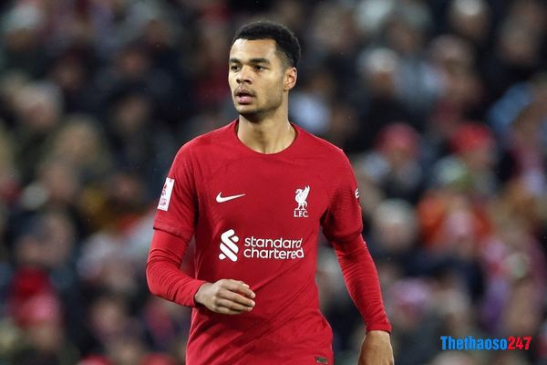 Liverpool, Cody Gakpo Liverpool, Cody Gakpo