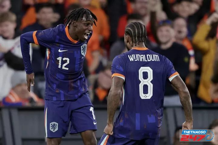 Đội tuyển Hà Lan Euro 2024 Đội tuyển Hà Lan Euro 2024