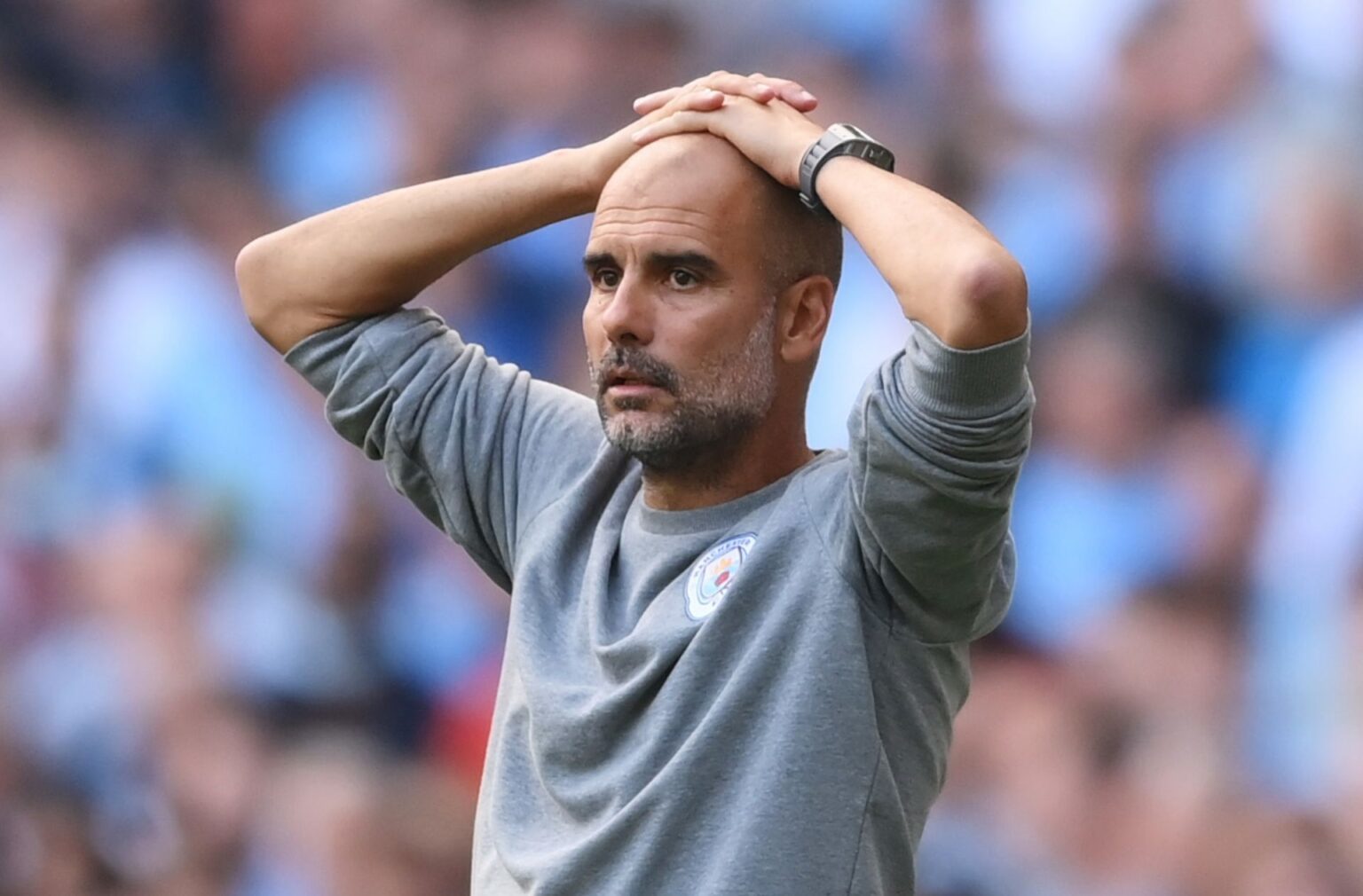 Pep Guardiola cảm thấy ghen tị với Chelsea