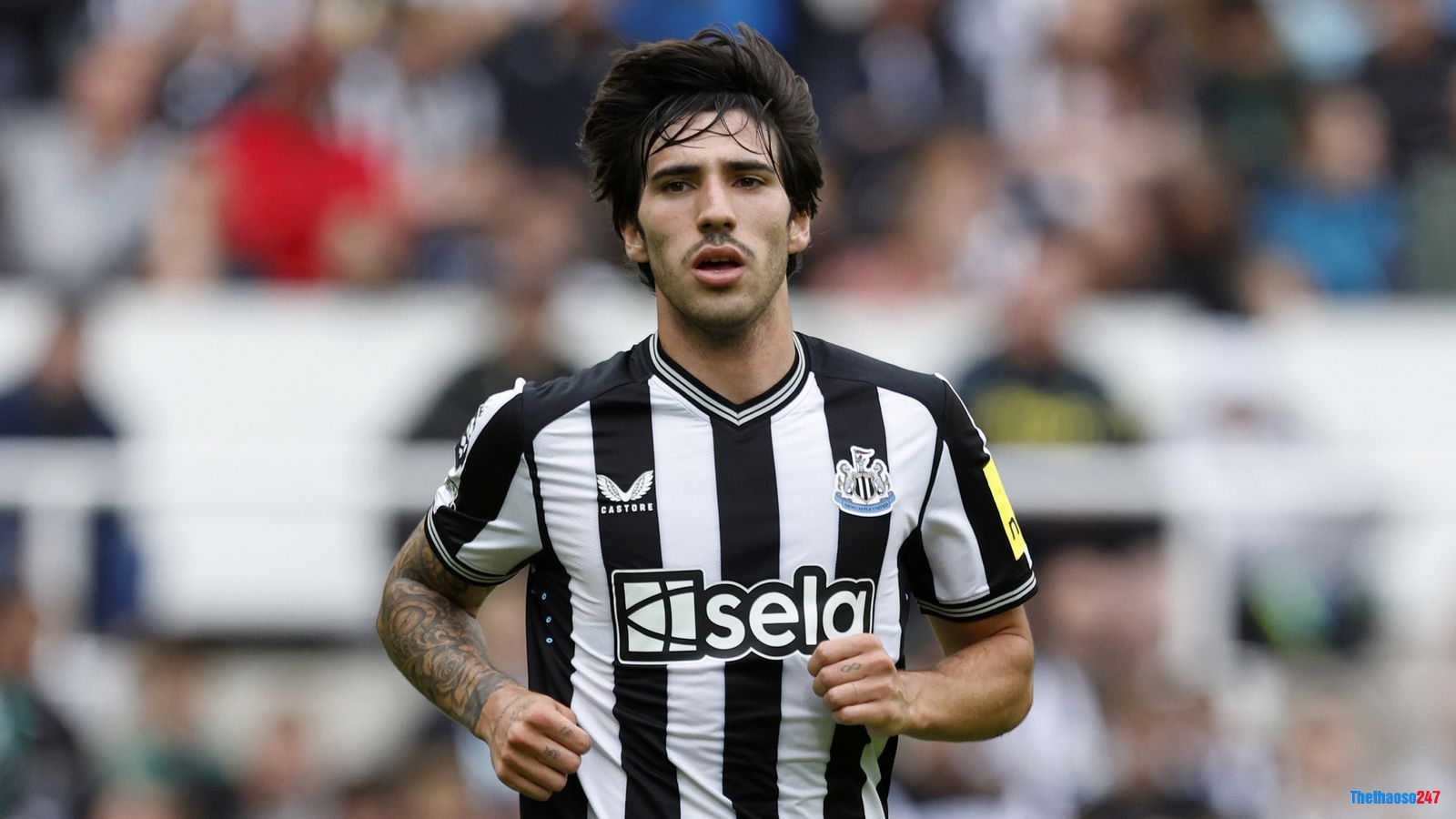 Sandro Tonali bị treo giò 10 tháng vì tội cá độ bóng đá