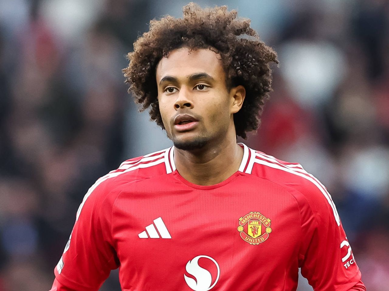 Đám mây đen bao phủ tương lai của Joshua Zirkzee tại Manchester United dưới thời tân HLV Ruben Amorim