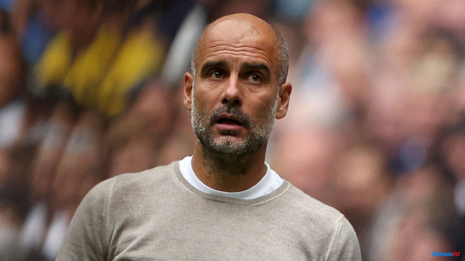 Manchester City Pep Guardiola