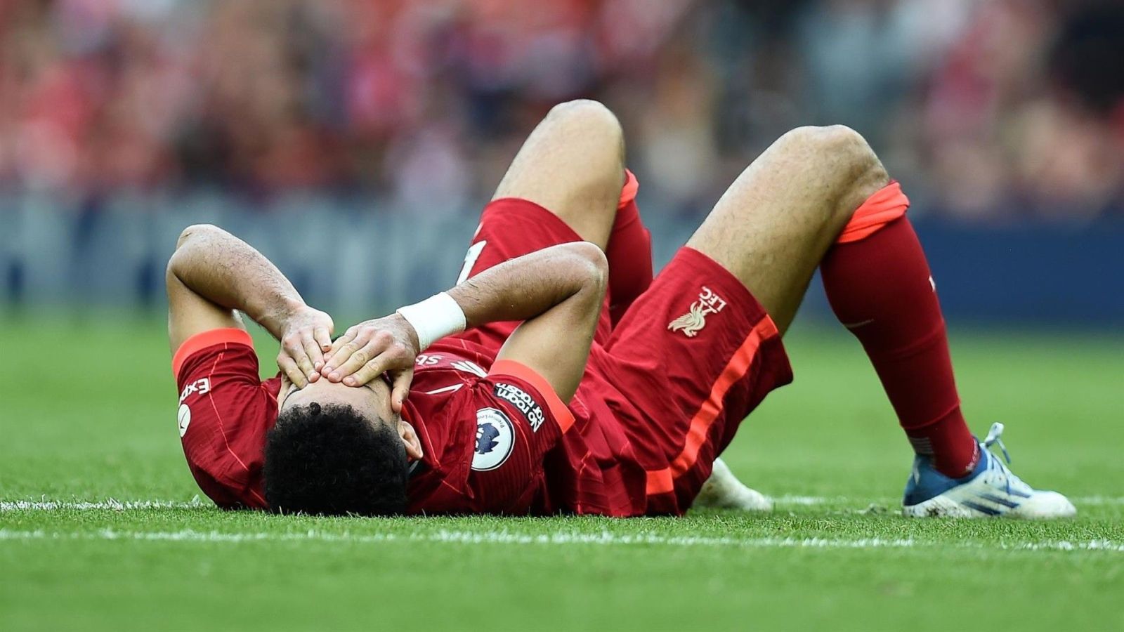 Ngoại Hạng Anh 2021/22 Ngoại Hạng Anh 2021/22