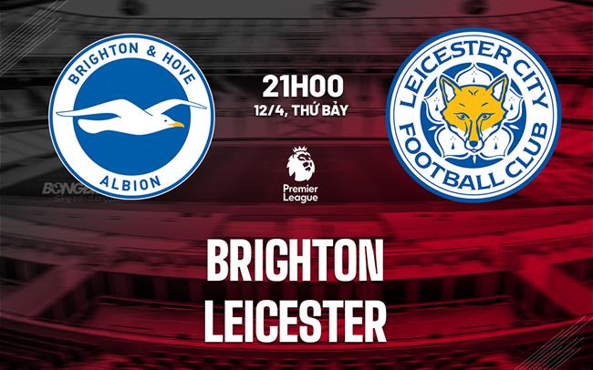 Nhận định Brighton vs Leicester: Liệu Chim Mòng Biển có thể bay cao?