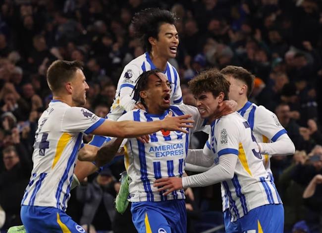 Cuộc Đụng Độ Phức Tạp Giữa Brighton vs Southampton Chim Biển Đối Đầu Rồng Đất Trong Trận Chiến Sống Còn