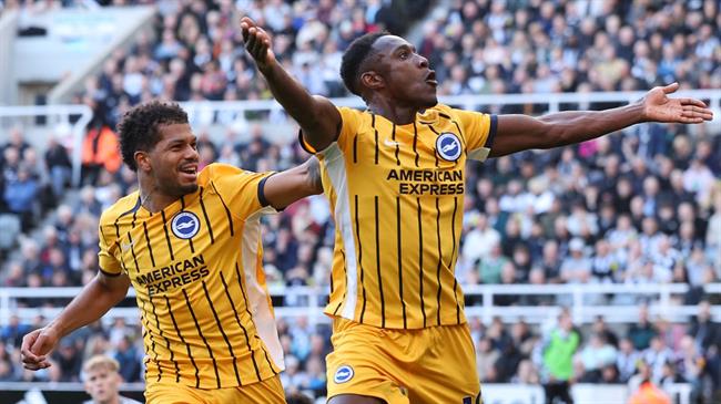 Brighton Đánh Bại Wolves, Ngự Trị Trên Đỉnh Premier League