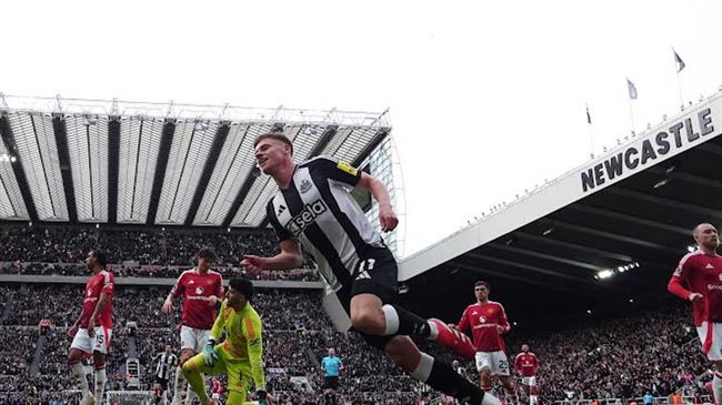 Nhận định Newcastle vs Crystal Palace: Chích chòe hướng đến chiến thắng áp đảo