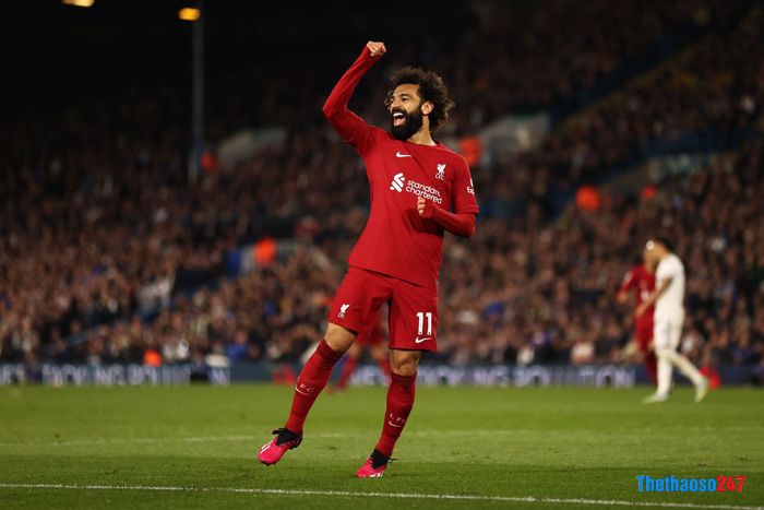 Mohamed Salah Mohamed Salah