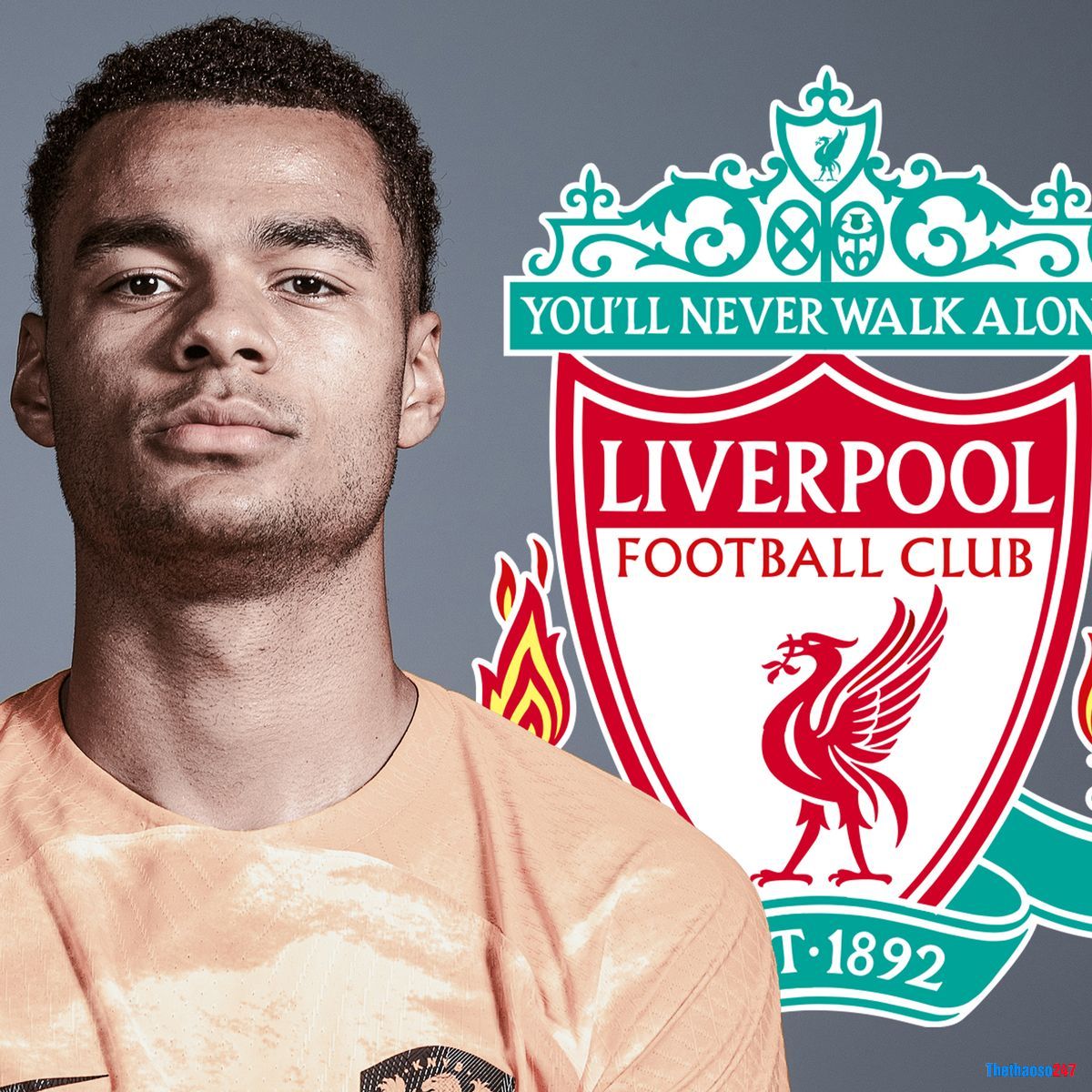 Cody Gakpo, Liverpool