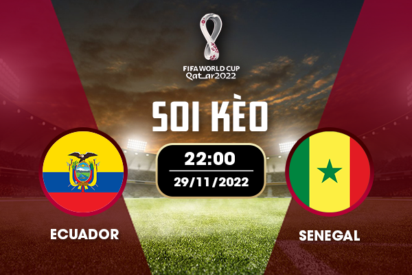 Soi kèo Ecuador vs Senegal Soi kèo Ecuador vs Senegal