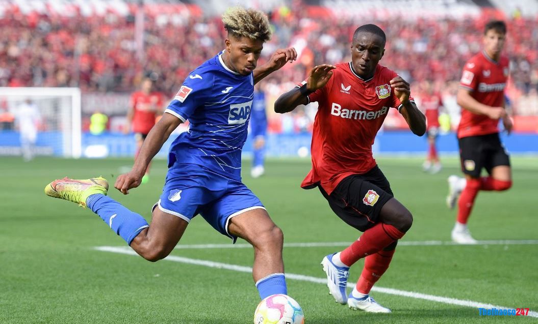 Soi kèo Hoffenheim vs Bayer Leverkusen Soi kèo Hoffenheim vs Bayer Leverkusen