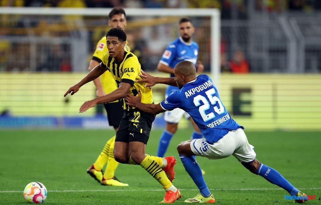 Soi kèo Hoffenheim vs Dortmund Soi kèo Hoffenheim vs Dortmund