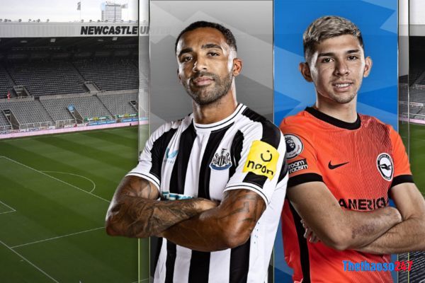 Soi kèo Newcastle vs Brighton Soi kèo Newcastle vs Brighton