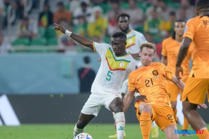 soi kèo phạt góc Ecuador vs Senegal soi kèo phạt góc Ecuador vs Senegal