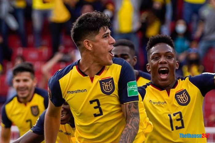 soi kèo phạt góc Ecuador vs Senegal soi kèo phạt góc Ecuador vs Senegal