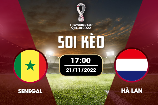 Soi kèo Senegal vs Hà Lan Soi kèo Senegal vs Hà Lan