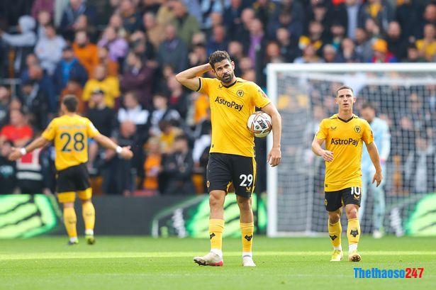 Soi kèo Wovles vs Brighton Soi kèo Wovles vs Brighton