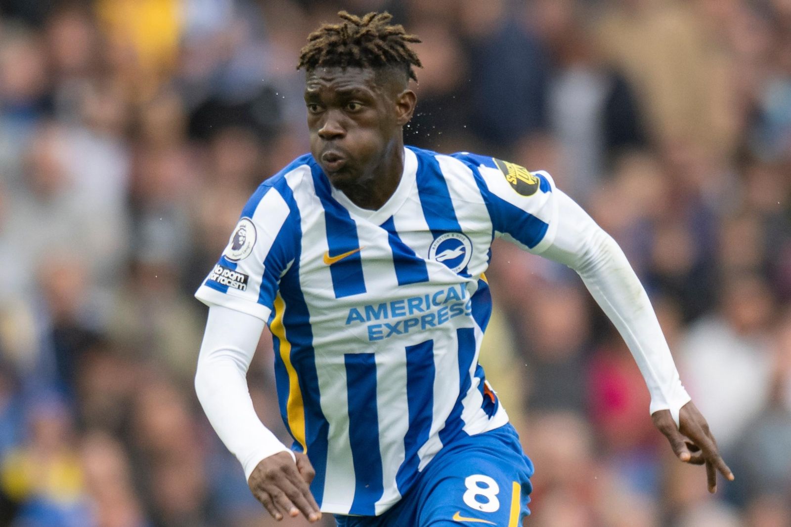 Yves Bissouma Tottenham