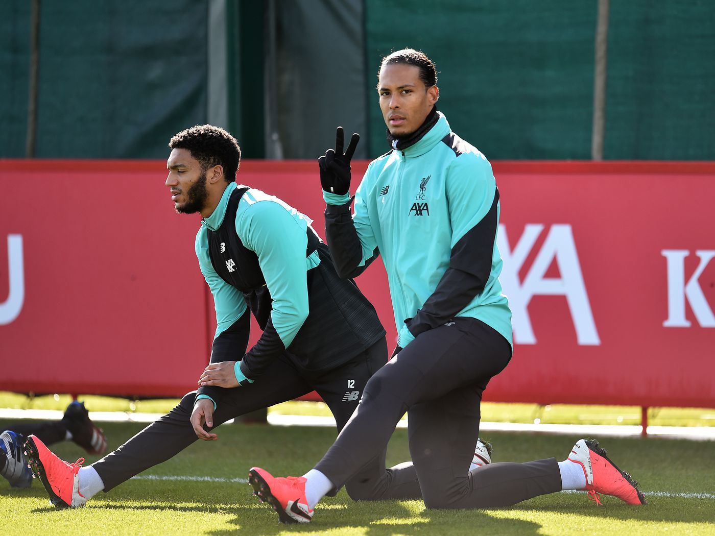 Van Dijk
