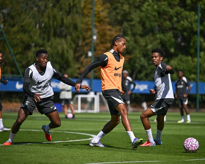 Joao Pedro Chelsea
