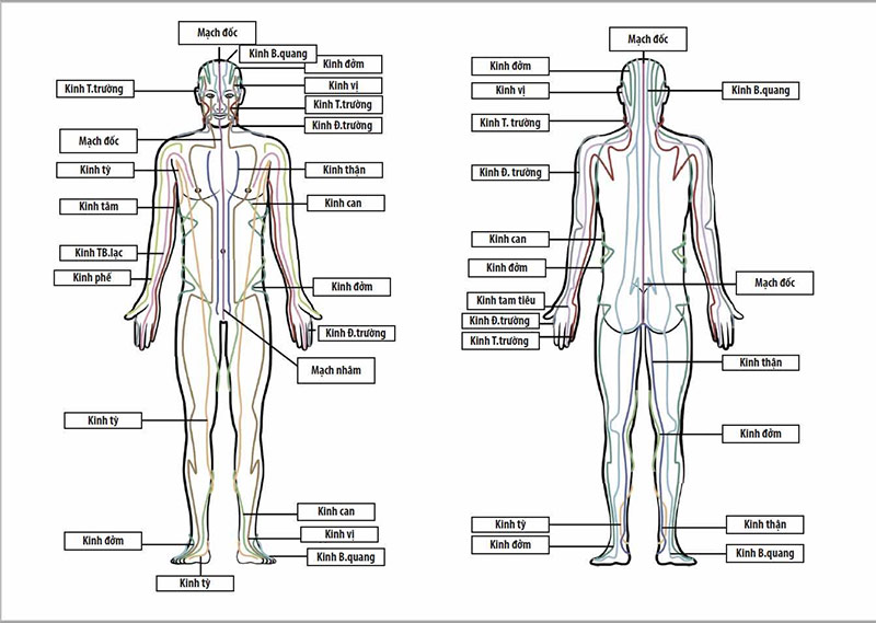 tử huyệt - Ảnh 2. Những vùng huyệt bị xem là nguy hiểm theo y học cổ truyền Trung Hoa