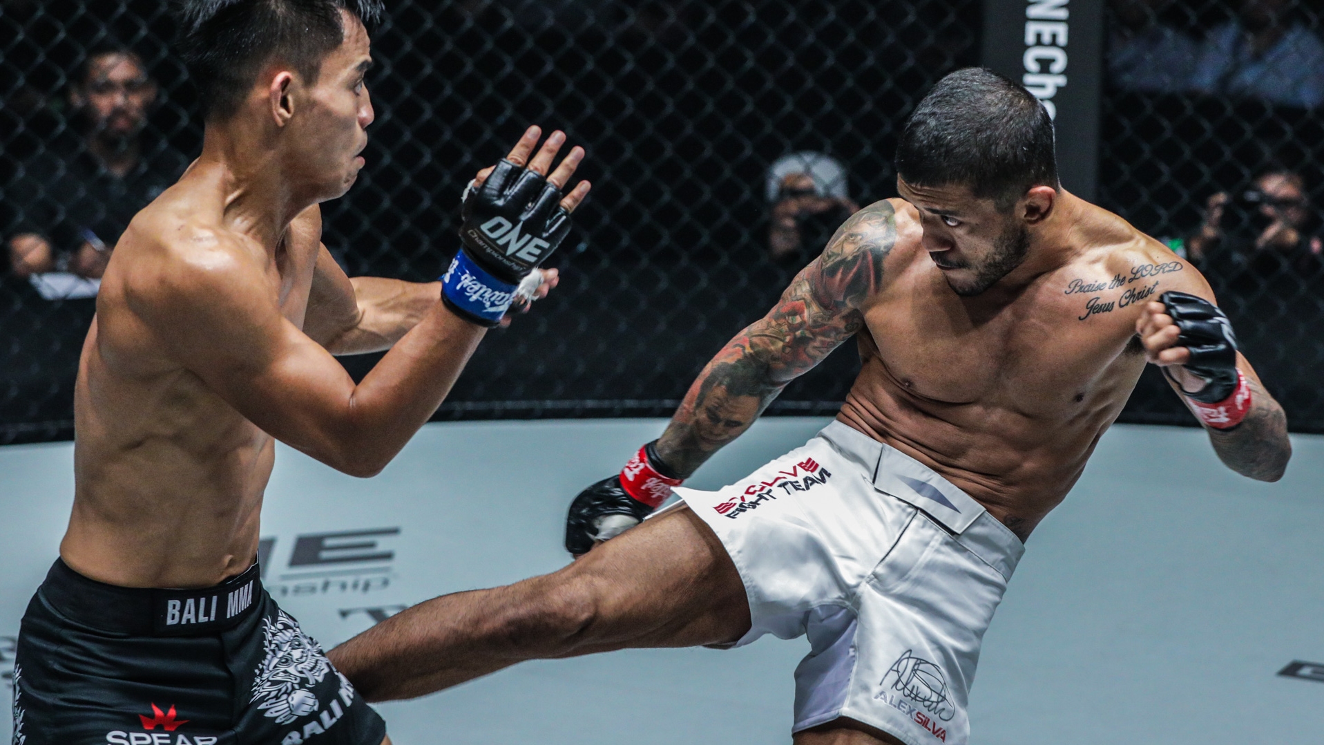 Những đòn đá tầm trung và thấp phổ biến hơn trên võ đài MMA