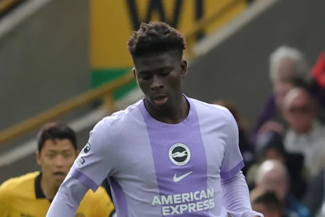 Carlos Baleba thi đấu cho Brighton