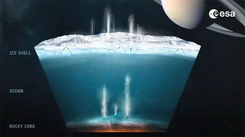 su song ngoai trai dat 2.png