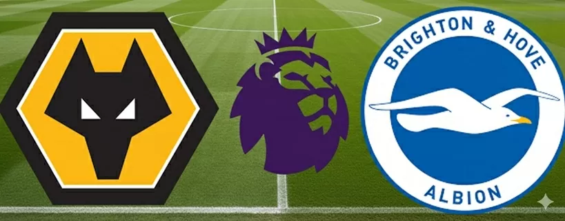 Nhận định, dự đoán tỷ số Wolves vs Brighton, 20h00 ngày 5/10 - Vòng 7 Ngoại hạng Anh Trận đấu Wolves vs Brighton thuộc vòng 7 Ngoại hạng Anh 2025/26