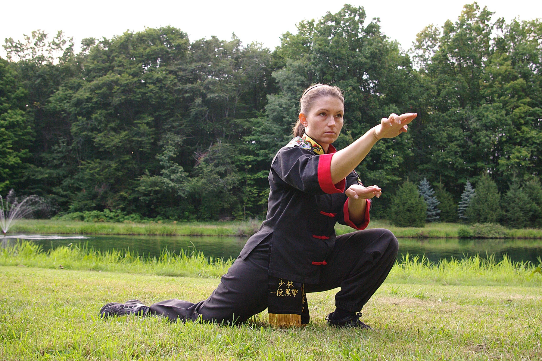 Các hệ phái kung fu sử dụng võ rắn