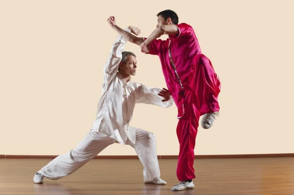 kung fu - Ảnh 6.