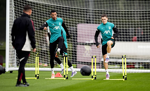 gettyimages-2244324127-612x612 gettyimages-2244324127-612x612