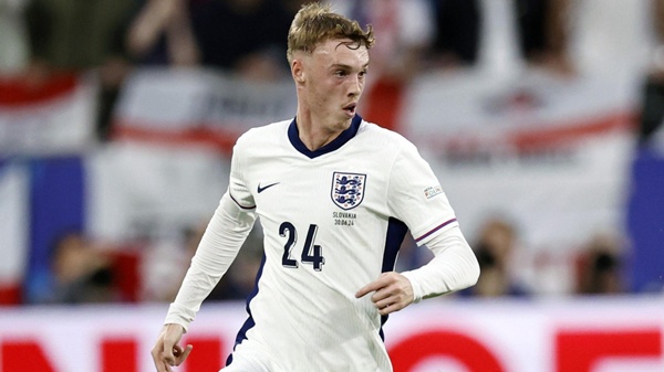 Palmer chấn thương háng c2